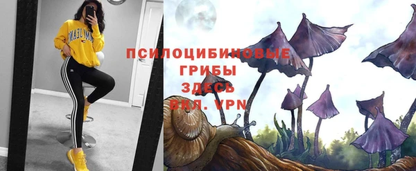 дживик Коряжма